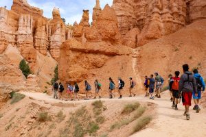 Antelope Canyon Tours - Articles 24 Antelope Canyon Tours - BryceCanyon
